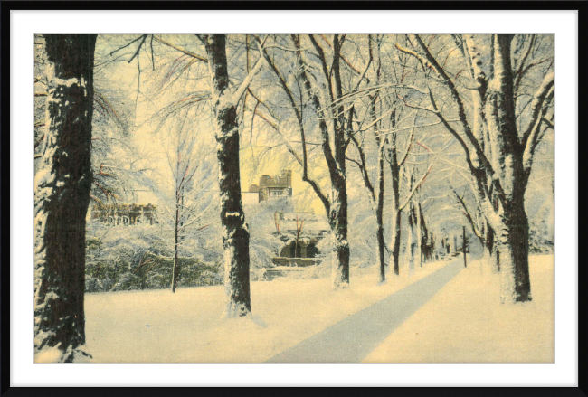 Winter Vista on The University of Colorado Campus, Boulder, Colorado