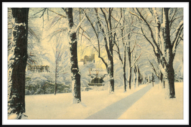 Winter Vista on The University of Colorado Campus, Boulder, Colorado