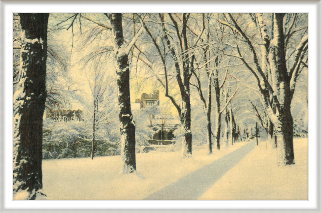 Winter Vista on The University of Colorado Campus, Boulder, Colorado