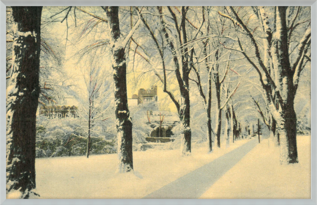 Winter Vista on The University of Colorado Campus, Boulder, Colorado