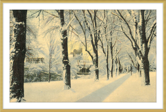 Winter Vista on The University of Colorado Campus, Boulder, Colorado