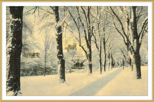 Winter Vista on The University of Colorado Campus, Boulder, Colorado