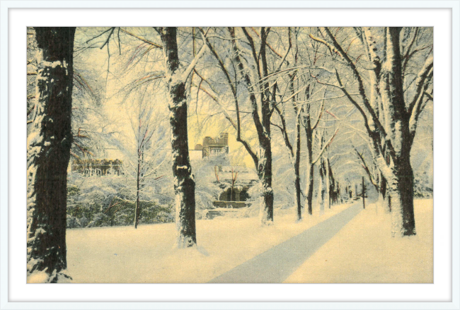 Winter Vista on The University of Colorado Campus, Boulder, Colorado