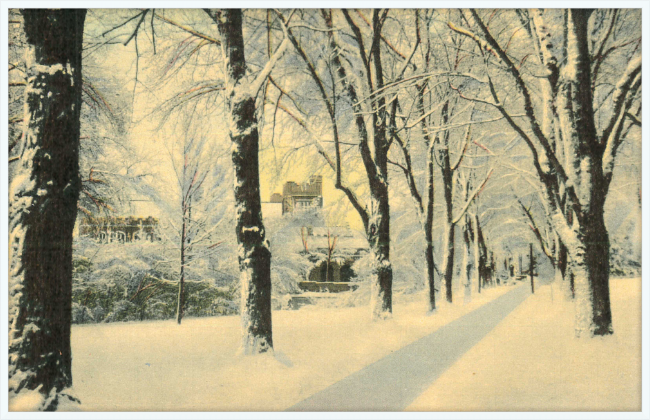 Winter Vista on The University of Colorado Campus, Boulder, Colorado