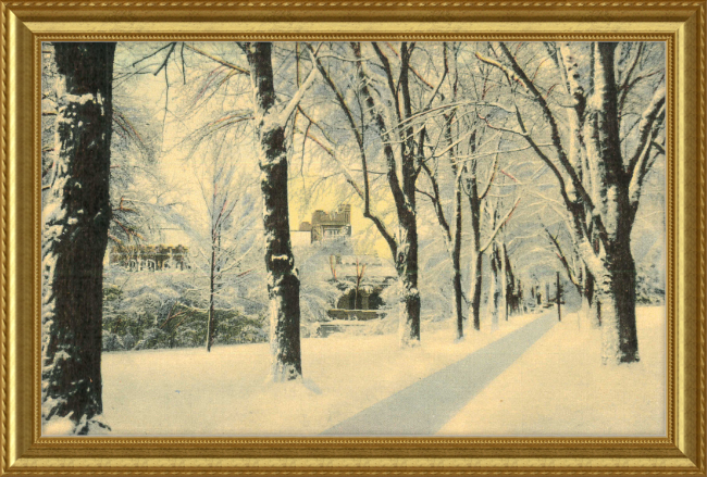 Winter Vista on The University of Colorado Campus, Boulder, Colorado