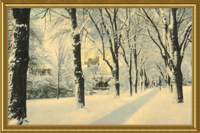 Winter Vista on The University of Colorado Campus, Boulder, Colorado