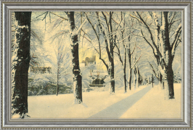 Winter Vista on The University of Colorado Campus, Boulder, Colorado