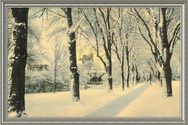 Winter Vista on The University of Colorado Campus, Boulder, Colorado