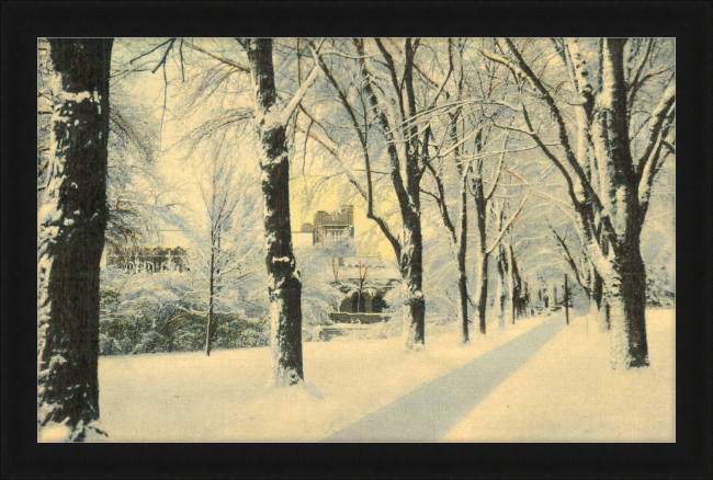 Winter Vista on The University of Colorado Campus, Boulder, Colorado