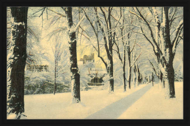 Winter Vista on The University of Colorado Campus, Boulder, Colorado