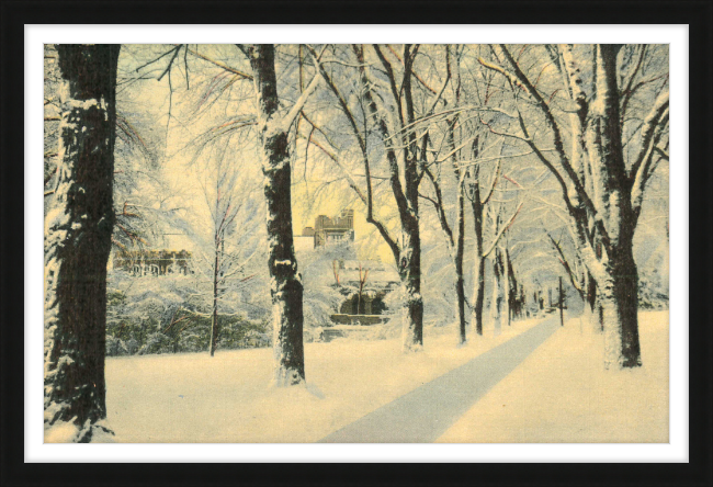 Winter Vista on The University of Colorado Campus, Boulder, Colorado