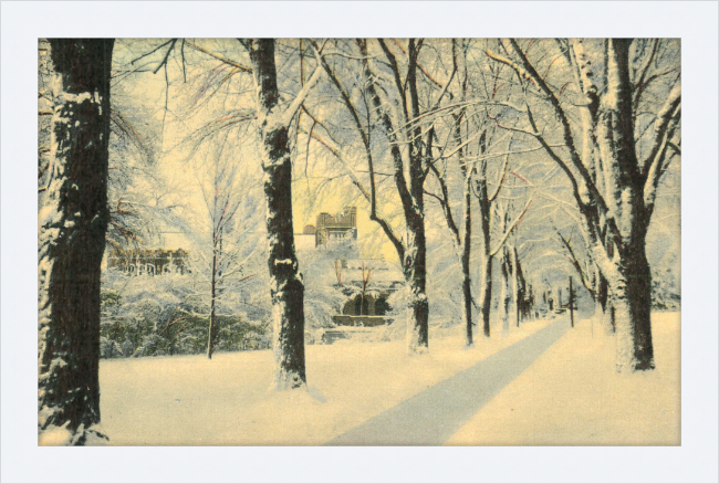 Winter Vista on The University of Colorado Campus, Boulder, Colorado