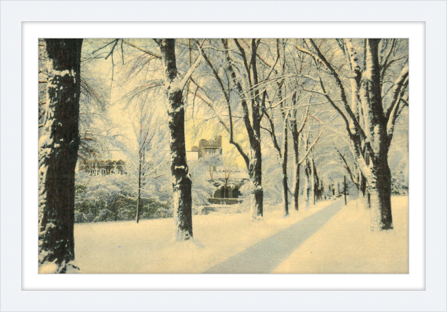 Winter Vista on The University of Colorado Campus, Boulder, Colorado