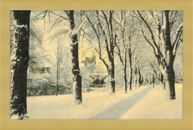 Winter Vista on The University of Colorado Campus, Boulder, Colorado