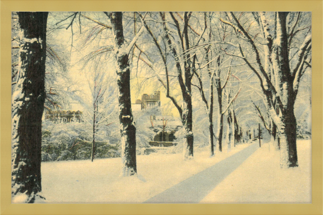 Winter Vista on The University of Colorado Campus, Boulder, Colorado