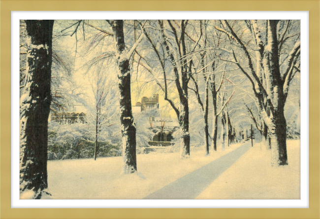 Winter Vista on The University of Colorado Campus, Boulder, Colorado