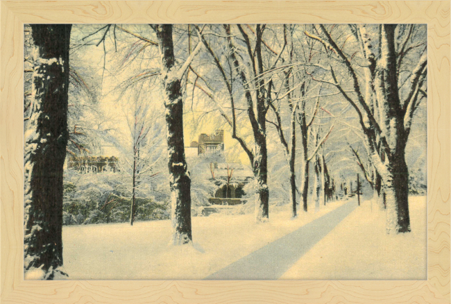 Winter Vista on The University of Colorado Campus, Boulder, Colorado