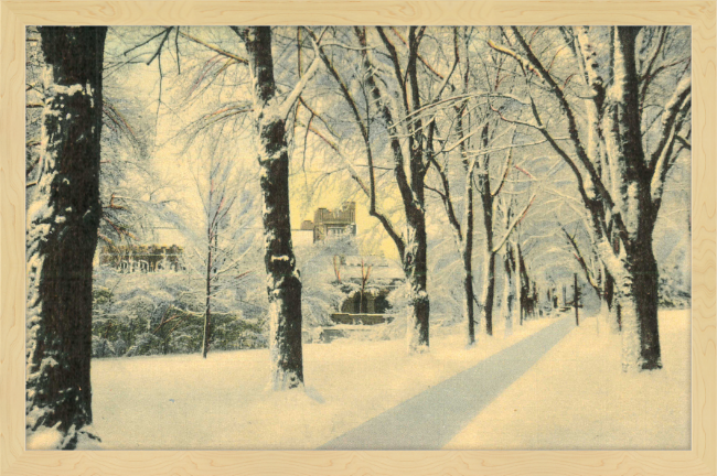 Winter Vista on The University of Colorado Campus, Boulder, Colorado