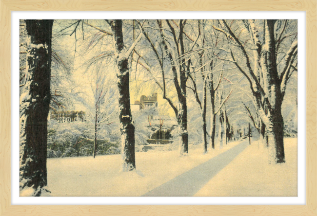 Winter Vista on The University of Colorado Campus, Boulder, Colorado